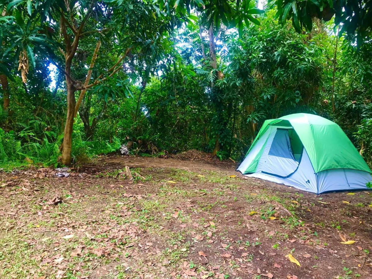 Jubilee Campsite Swim & Paint Las Piedras 외부 사진